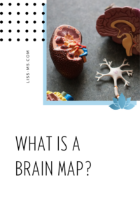 What is a brain map